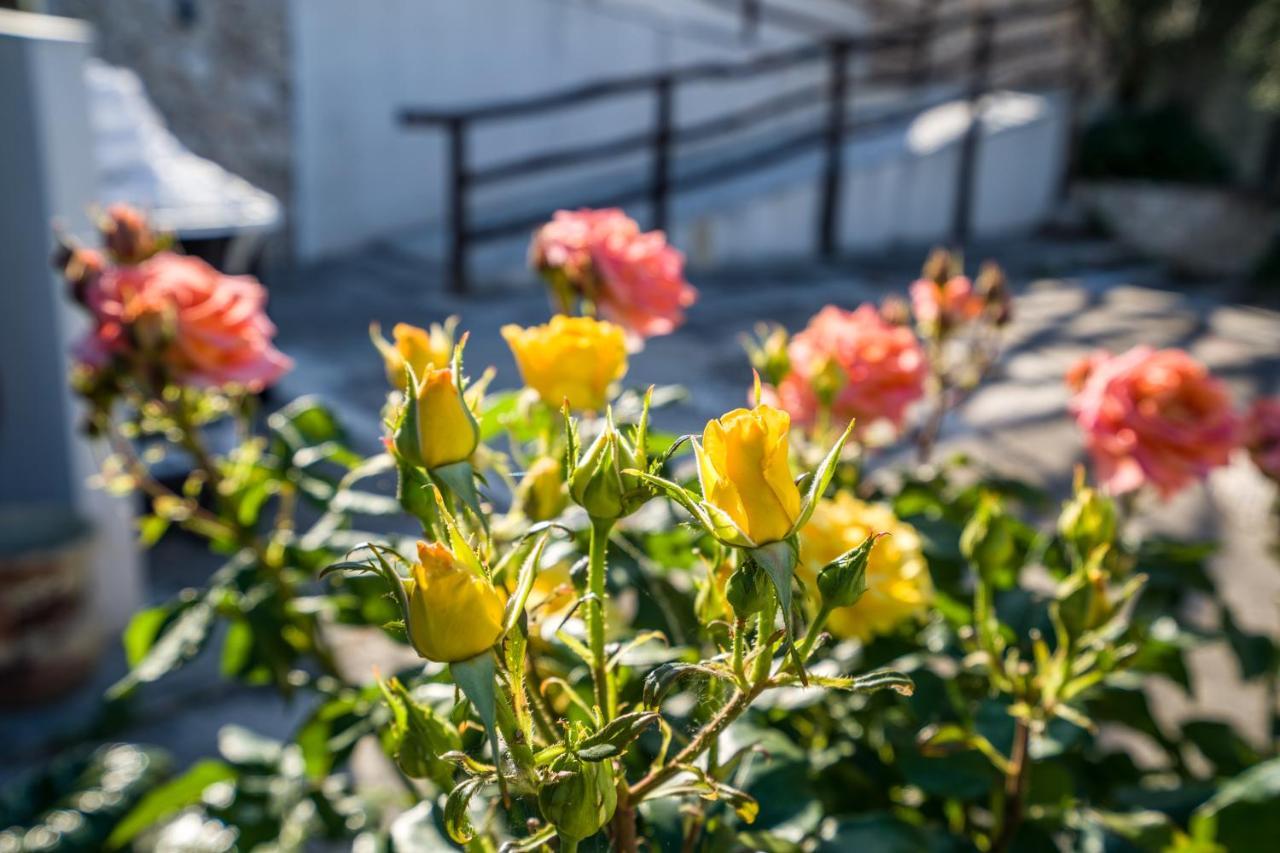 Borgo Canneto Rodi Garganico Εξωτερικό φωτογραφία