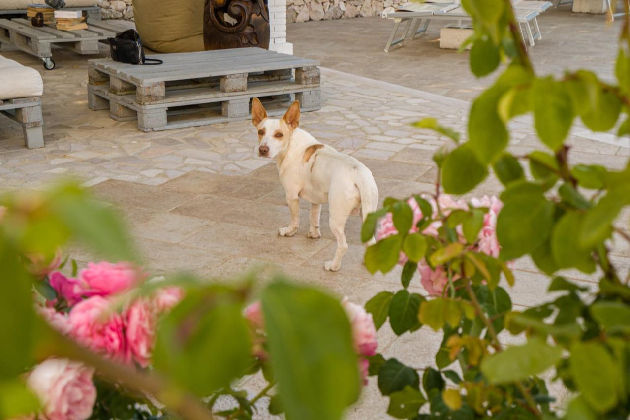 Borgo Canneto Rodi Garganico Εξωτερικό φωτογραφία
